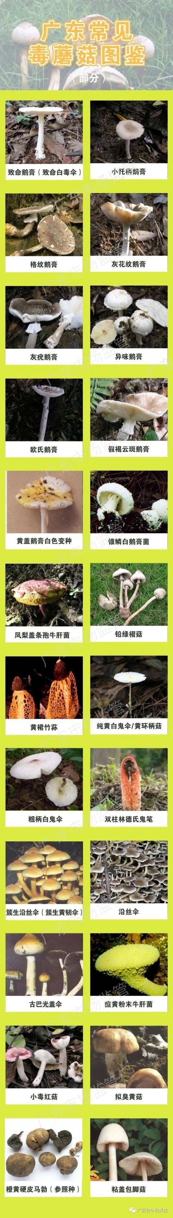 广东|135人发病，3人死亡！多地疾控紧急提醒