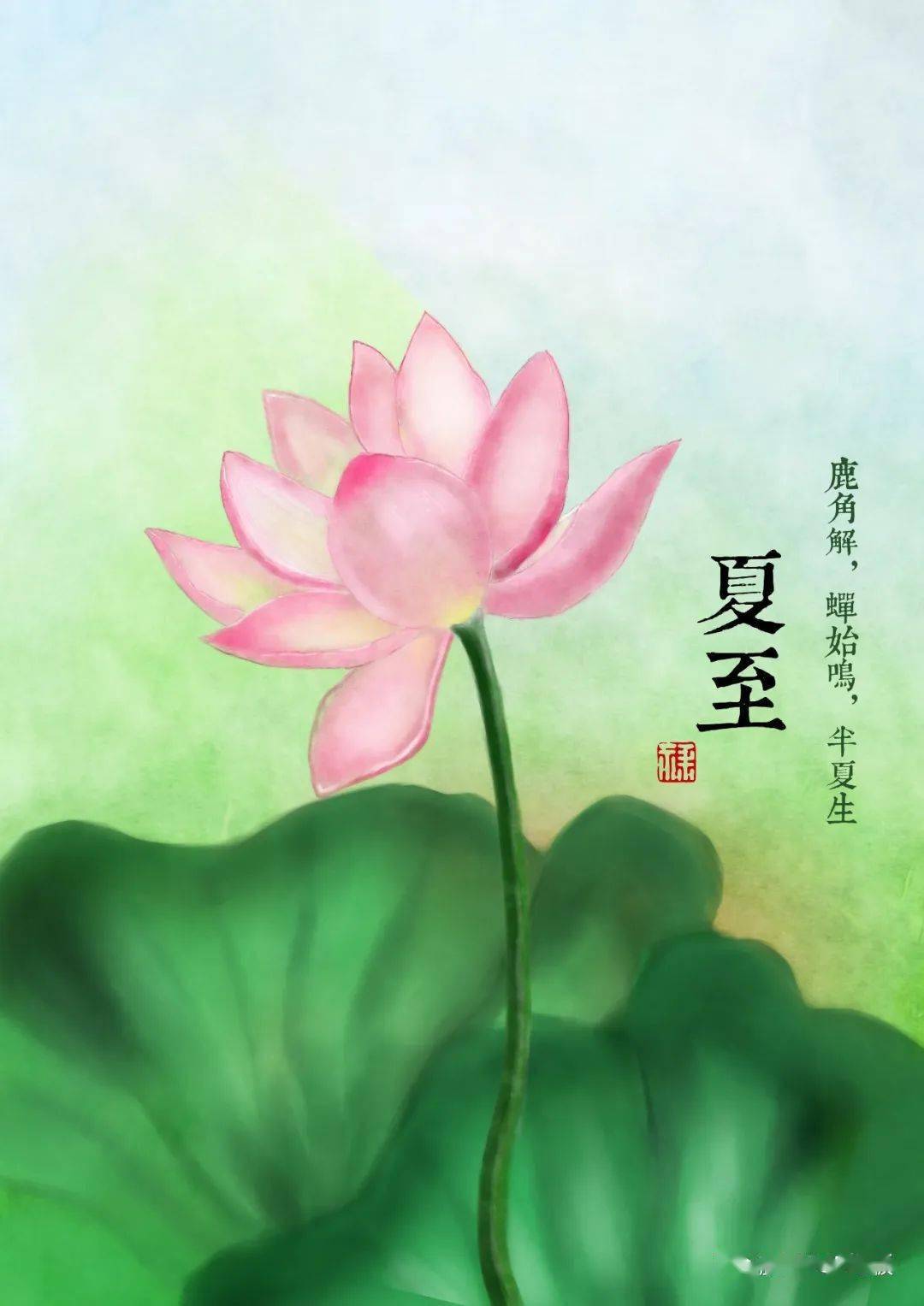 节气| 夏至,如约而至