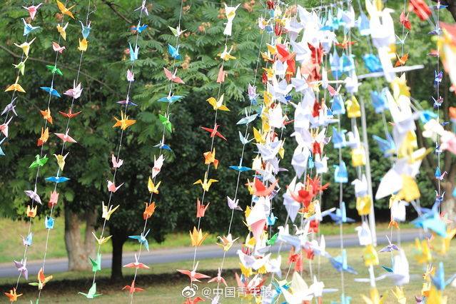 矩阵|华中农大万枚纸鹤矩阵祝福毕业生