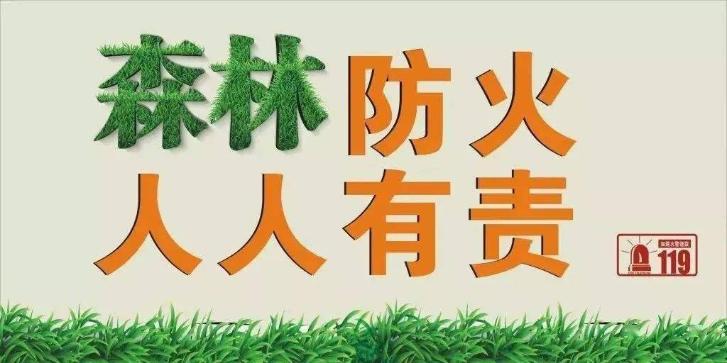 森林草原防灭火法治宣传四川省森林防火条例