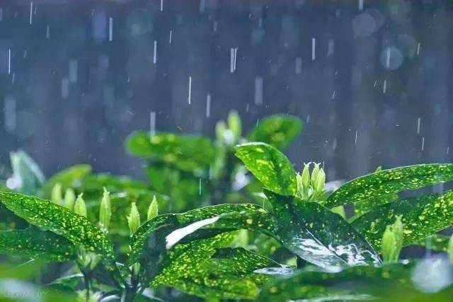 雷阵雨 大风 冰雹!局地强对流要小心,接下来