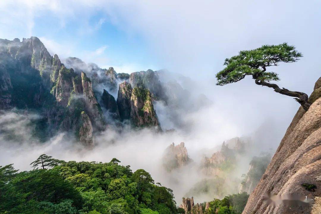 赴一场夏日黄山的清凉之旅67程亚星在黄山过夏天