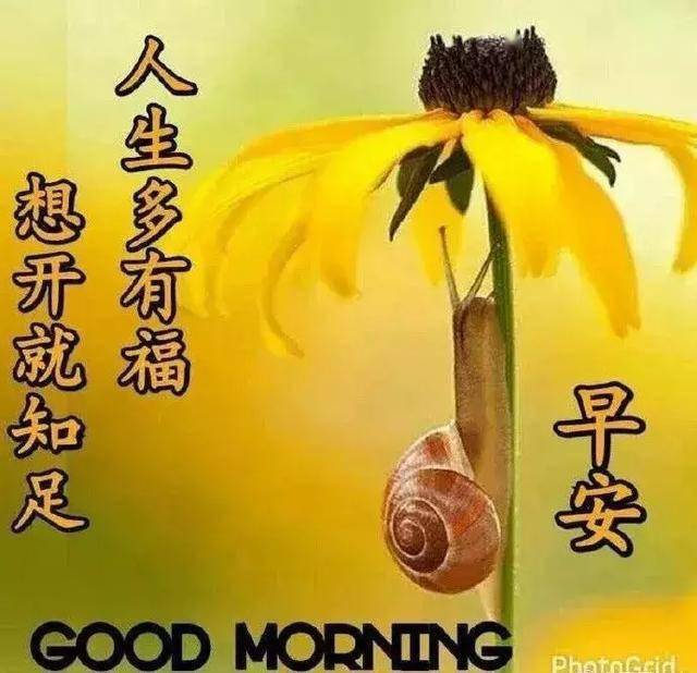 友情,无形,却最珍贵;祝福,简单,却常留心间,早上好