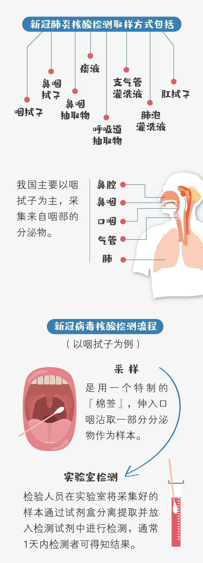 一图读懂核酸检测怎么做重点人群注意事项都说清楚了