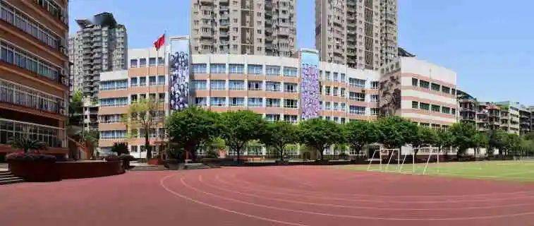 重庆九龙坡区小学排名