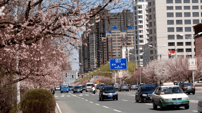 端午节 吉林市道路交通"两公布一提示"