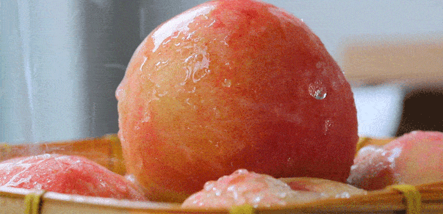 dd053ea733114b209797c616261df351.gif