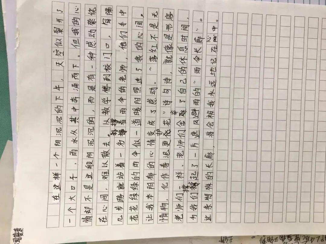 雨中的小花伞简谱_雨中的伞图片(3)