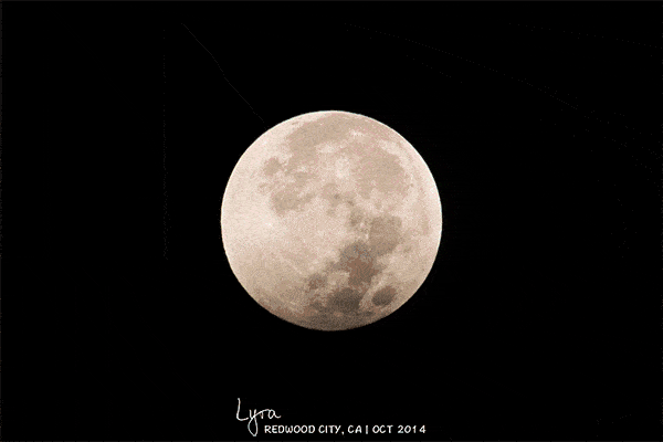 月全食:total lunar eclipse月偏食:partial lunar eclipse半影月食