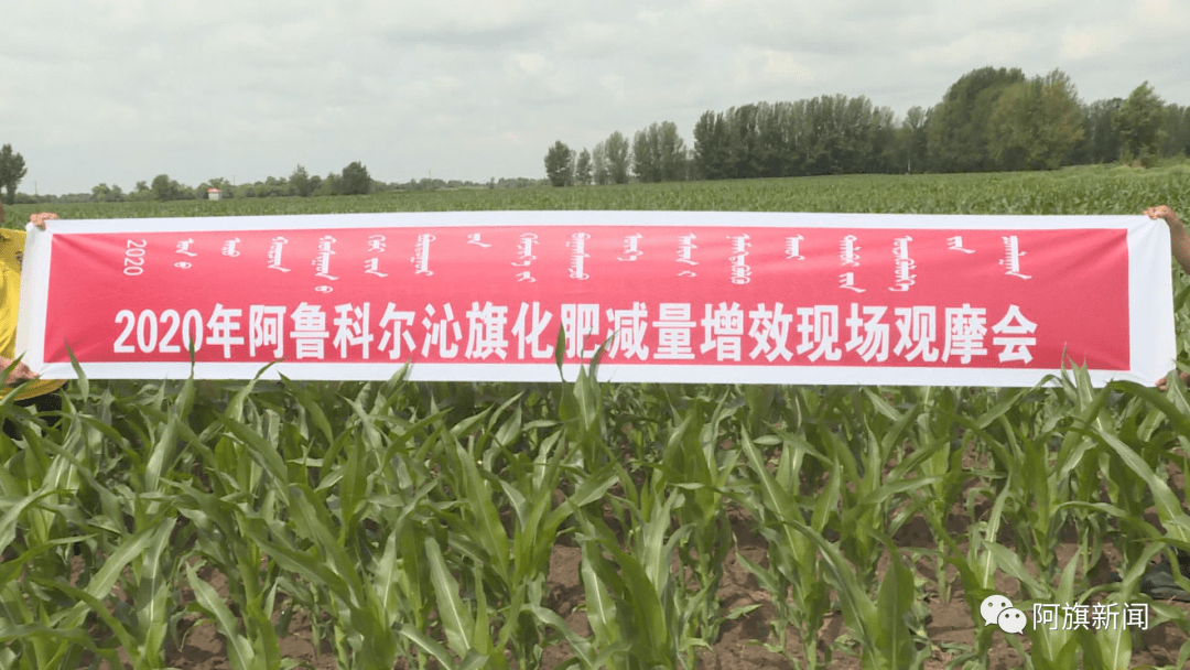农药新产品推广 338fde9bf072402f8fd52769f288c65d.png