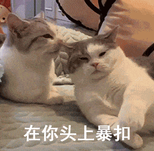 固定 轻鸿能够让大大选择 打上高一级的石头,给自己更全的保护 这顶