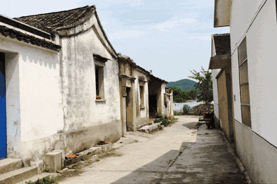 【采芝传承-百年经典】28.5抢购采芝斋310ml酸梅汤6罐!清凉一夏!