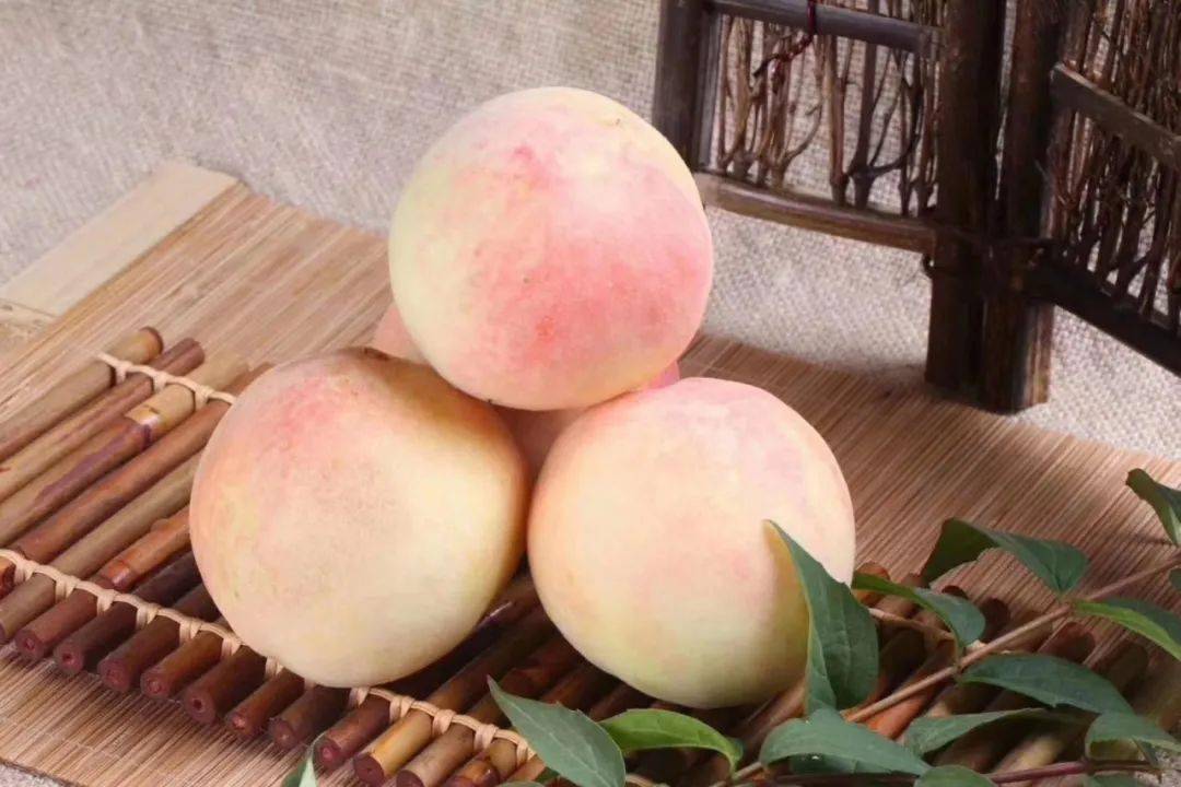 叫出那个甚是响亮的名字—— 奉化水蜜桃,浙江省宁波市奉化区特产