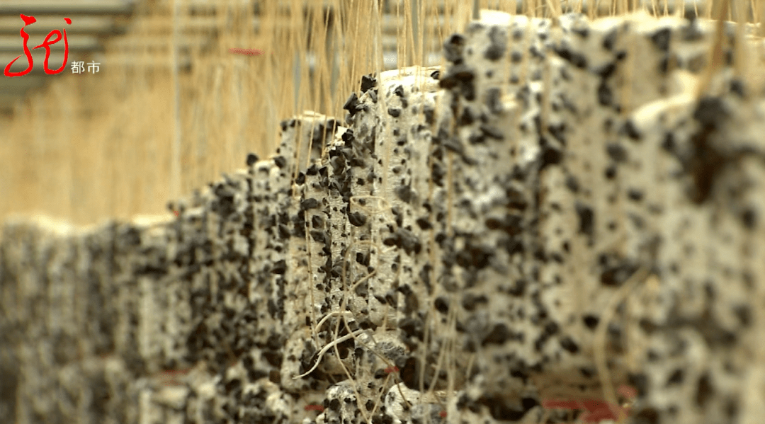 大提琴教父主题曲曲谱(2)