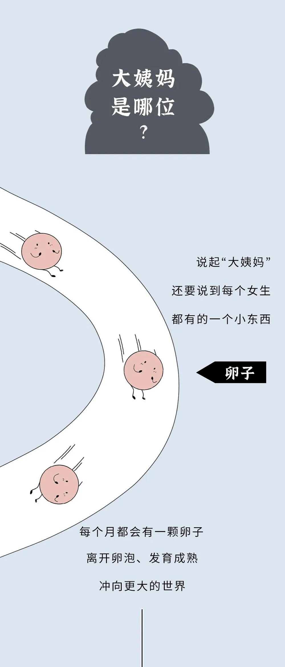 0755d5c613344829abff7dba69056871.png
