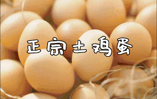 (详情查看底部评论区) 无需门票 荔枝任摘任吃 还可以免费打包5斤带走
