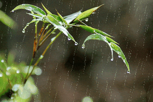 下雨 返程高峰,你需要