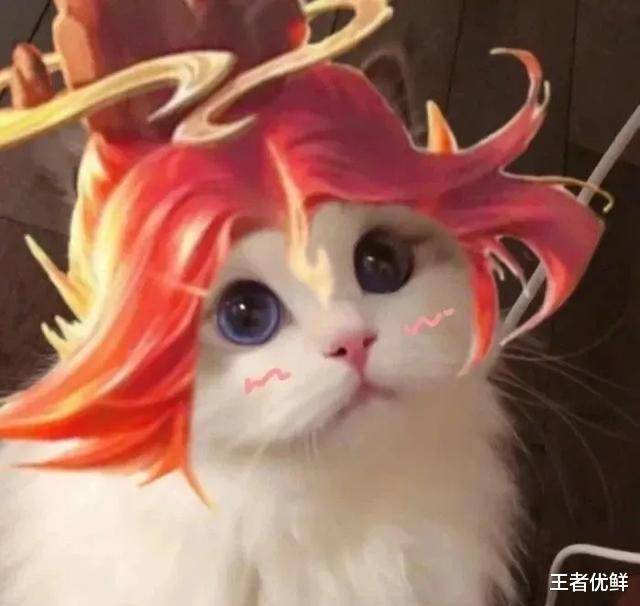 王者荣耀猫猫换头图——五岳五神兽专辑