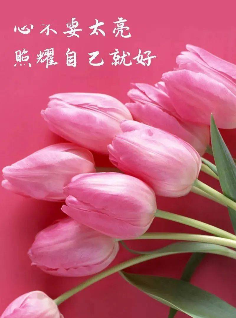 心善,自然美丽