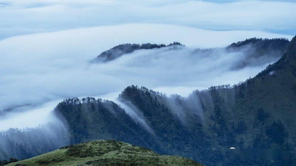 草甸,林海,日出,云瀑…雅安又一秘境光头山"大片"曝光