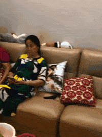 百家笑坛 搞笑gif:吓死我了,全家人这么全神贯注看电视        吓死我