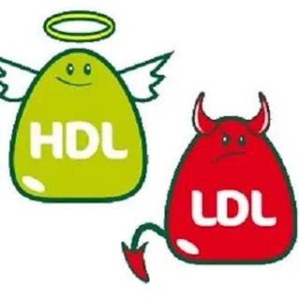 比率 ldl hdl HDL和LDL胆固醇有什么区别？