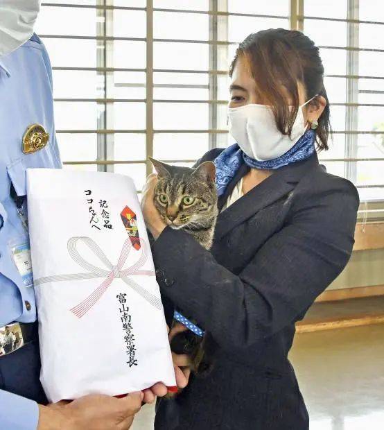 喵星人之光 家猫帮警方救下落水男子 获嘉奖啦 可可