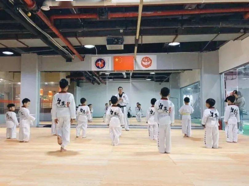 力柔道馆的"少儿跆拳道"项目已经开设了近三年,已经积累了