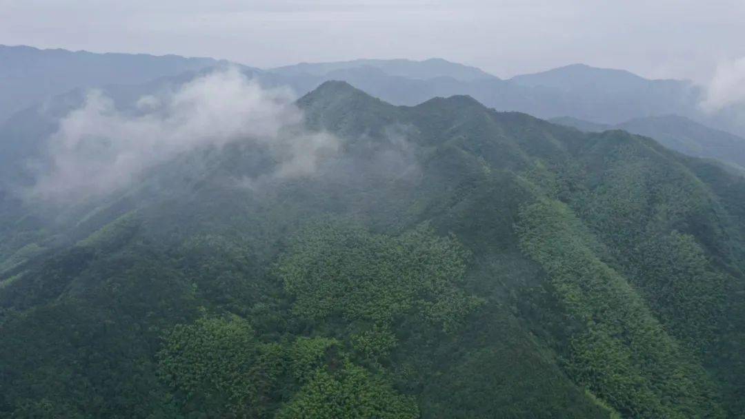 洞阳镇人口多少_北流隆盛镇有多少人口