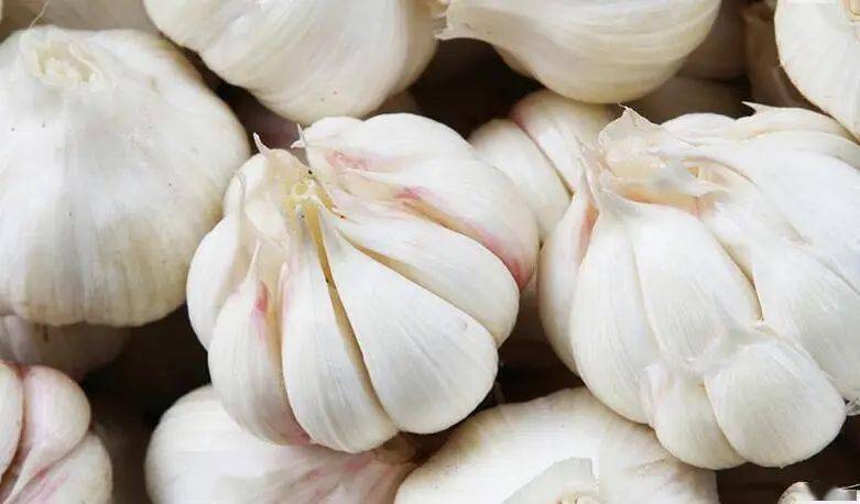 【可怕】这样驱蚊有毒,深圳已有人中招!附最全驱蚊攻略 【可怕】这样驱蚊有毒,深圳已有人中招!附最全驱蚊攻略