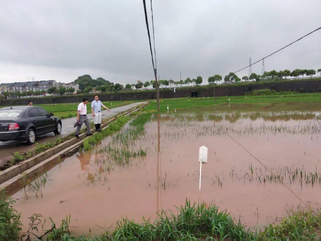 闻"汛"而动!全市农业农村系统筑起冲不倒的"堤坝"!