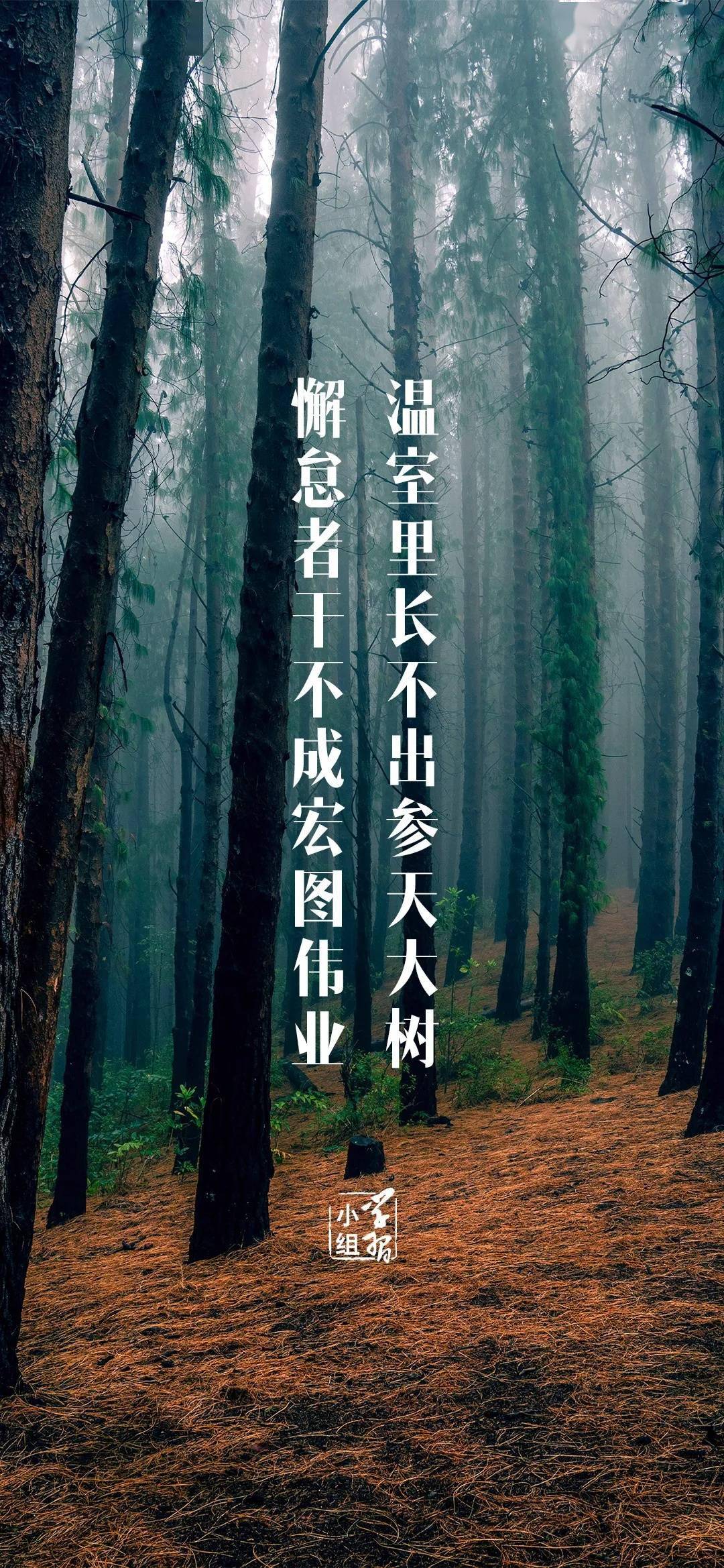 4278cc75c69847f0a950bf2b956ea431.jpeg