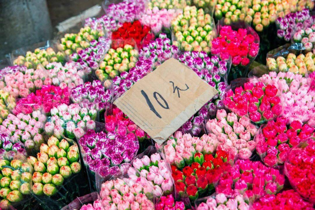 岭南花卉市场各种鲜花都有,摆摊拿货必来 地址:广州市荔湾