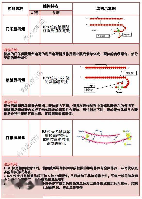 收藏2张图讲清胰岛素类似物长短效机制