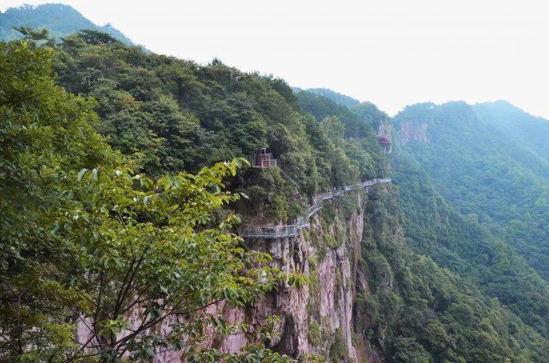 宁波新晋最具人气乡村旅游目的地竟然在奉化这里!夏日