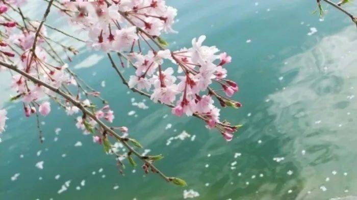 平常心是道诗句 b4e5fcd66c1c4a978faf1c7b85844030.jpeg