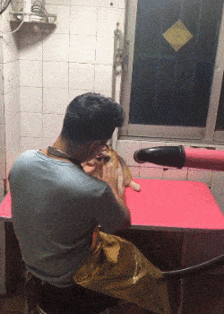 狗狗|回来以后母狗变公狗了…..狗子送去洗了个澡