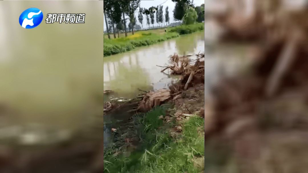 落水|鄢陵家长警惕了！两天，11名孩子因“此”丧命！