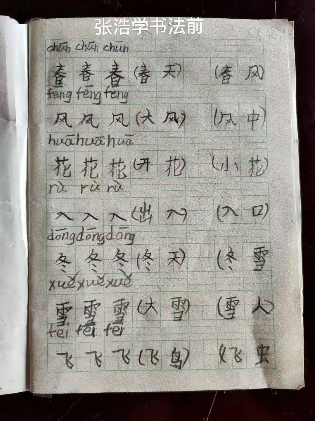 上新闻峨眉8岁男孩手写印刷体汉字走红网络背后的原因