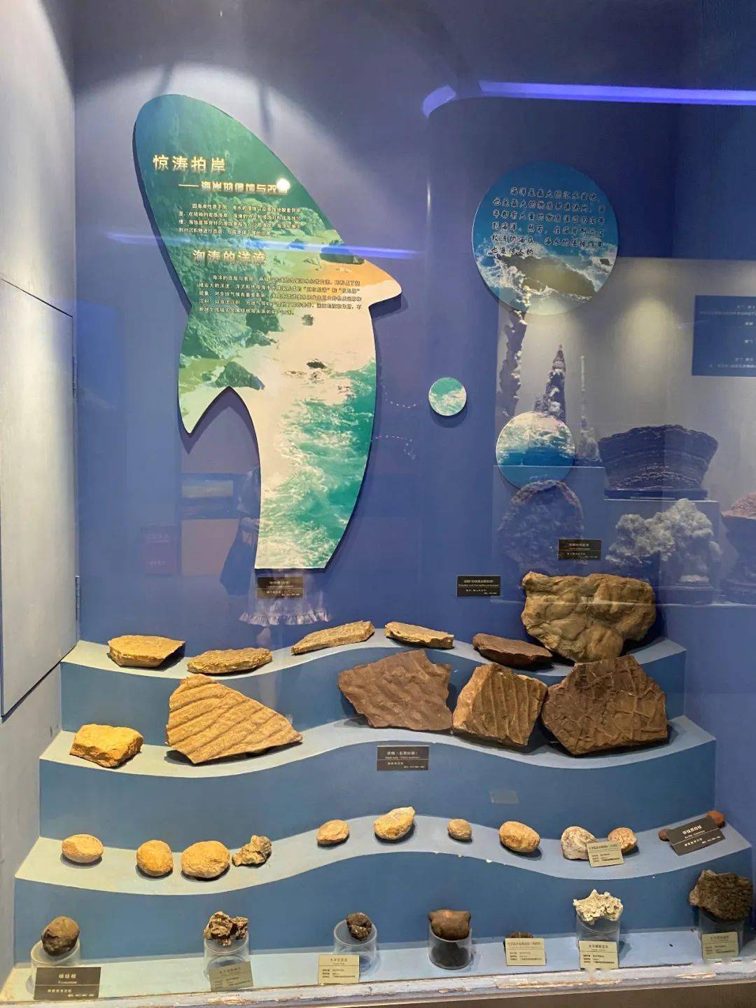 探寻数亿年间地球和生命的历史痕迹,从河南省地质博物馆开始!