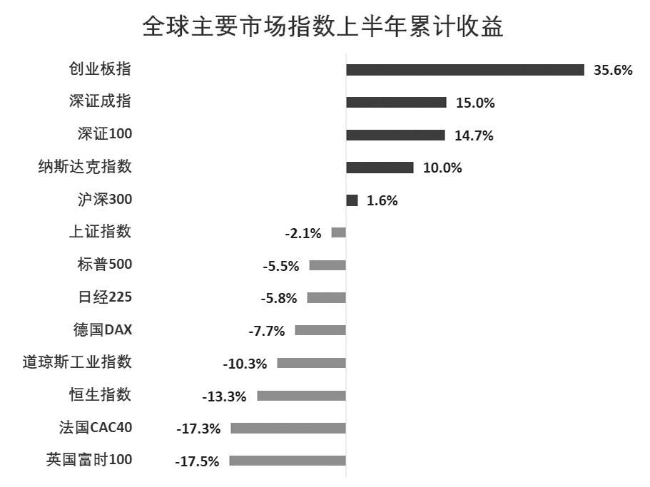 大幅反弹|上半年全球市场经历了过山车