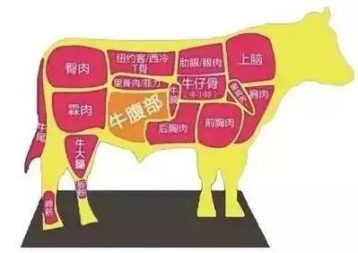 肉牛部位分解图