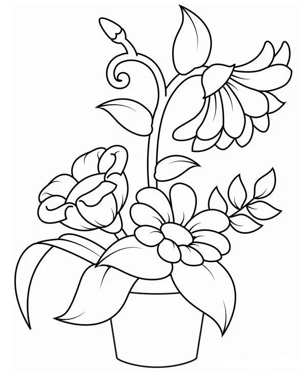 简笔画教程植物花卉类教程轻轻松松画