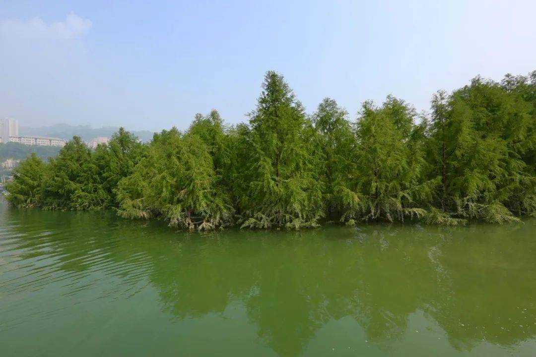 万州江边新增美丽风景线!