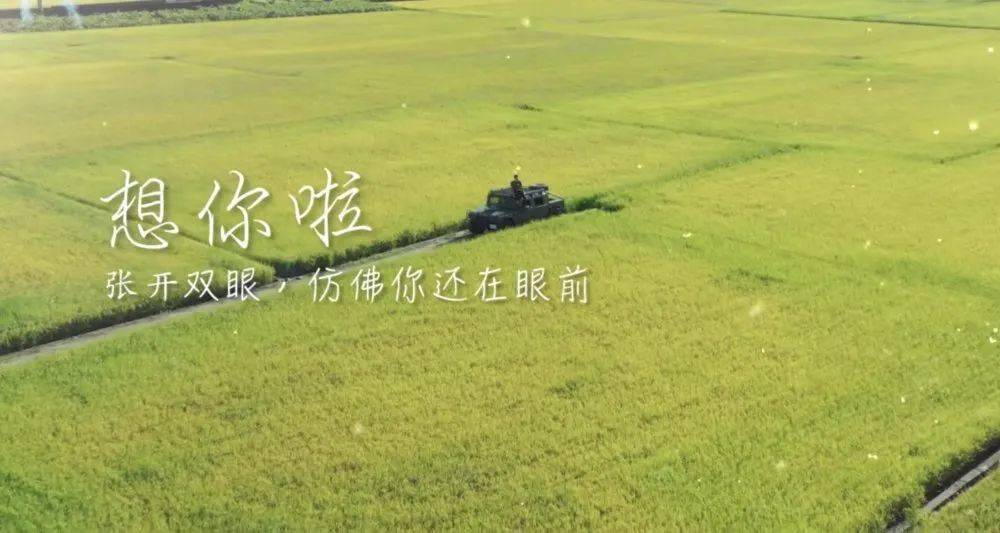 "你还记得我吗?我想你啦!