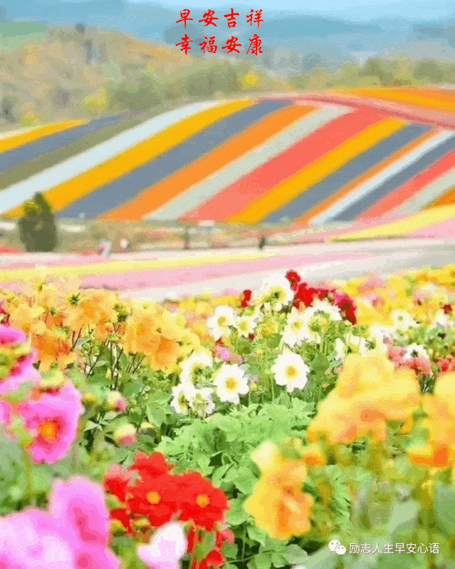 7613星期五早安30心语