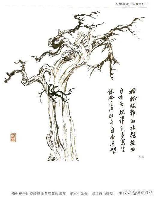 中国画技之松柏画法