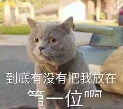 3c6763168d4e4ecd815da809a337c451.jpeg