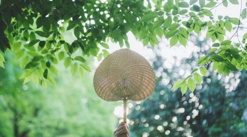 家长|可能是“夏季热”惹的祸!宝妈必看!孩子发热不一定是感冒