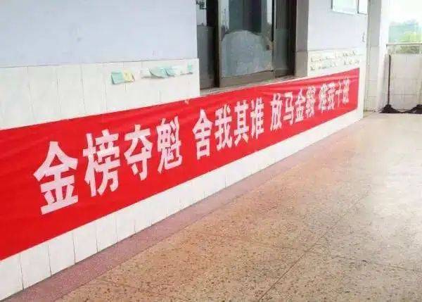 高考|高考 | 乘风破浪的少年们